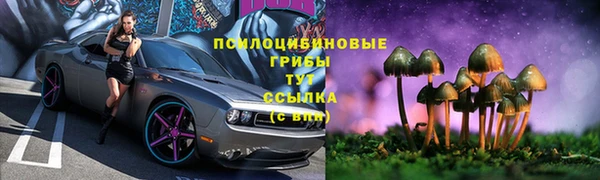 мдма Горняк