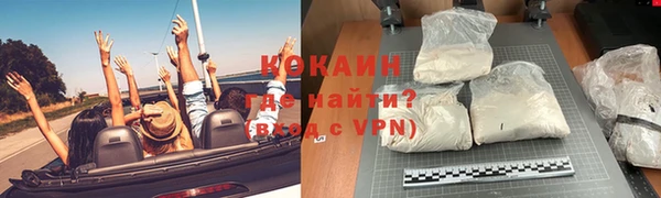 ГАЛЛЮЦИНОГЕННЫЕ ГРИБЫ Горно-Алтайск