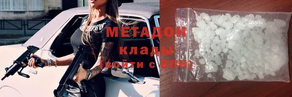 ПСИЛОЦИБИНОВЫЕ ГРИБЫ Новозыбков