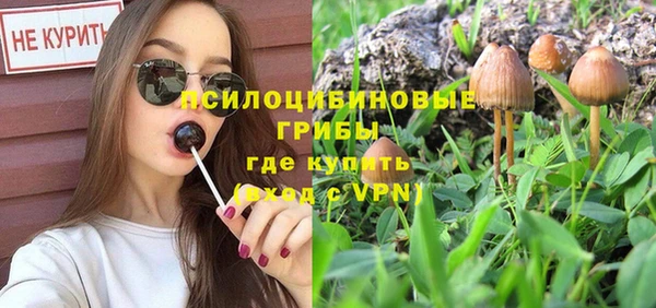 мдма Горняк