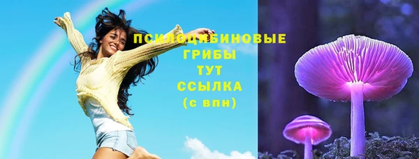 мескалин Новодвинск