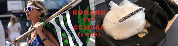 ГАЛЛЮЦИНОГЕННЫЕ ГРИБЫ Горно-Алтайск