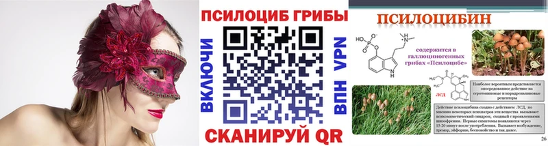 Галлюциногенные грибы Psilocybine cubensis  наркошоп  Меленки 